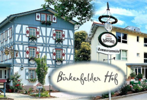 Гостиница Hotel Landgasthof Birkenfelder Hof  Биркенфельд